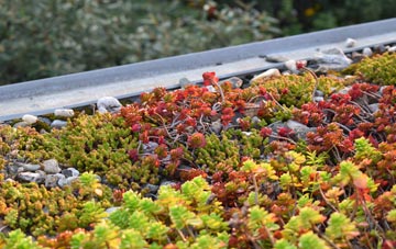 the cost of Dulcote green roof installation