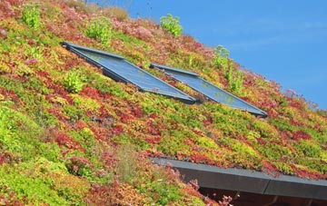 Dulcote living roof systems
