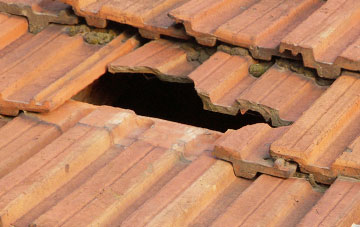 roof repair Dulcote, Somerset